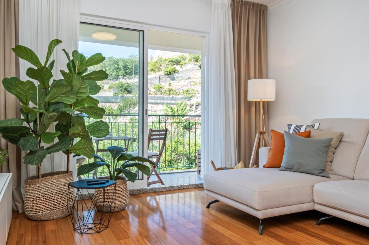 Ficcus Apartament *